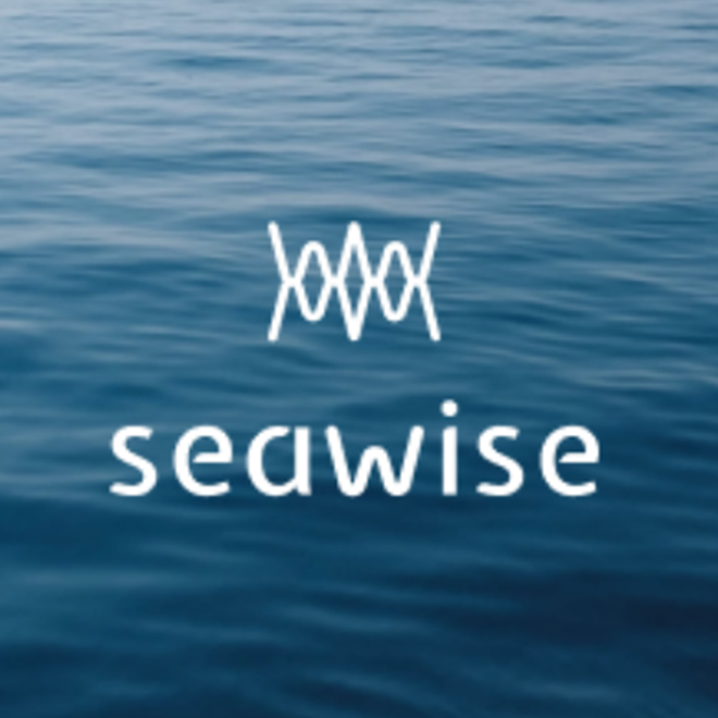 Seawise